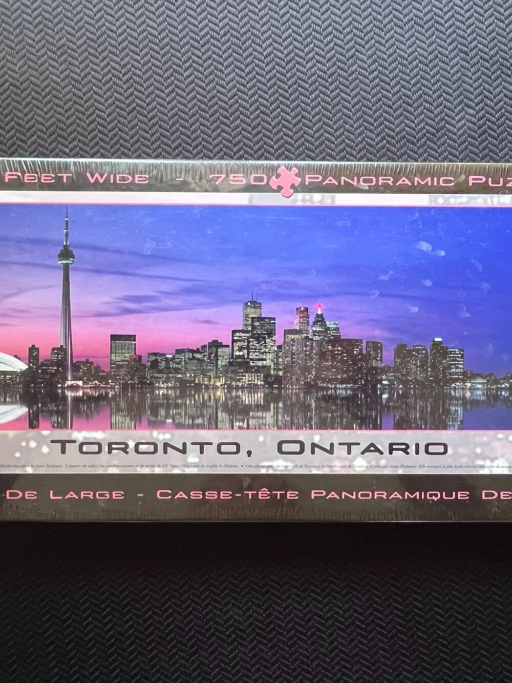 EuroGraphics Toronto Canada Panoramic 1000 Piece Jigsaw Puzzle Retro SkyDome Jam